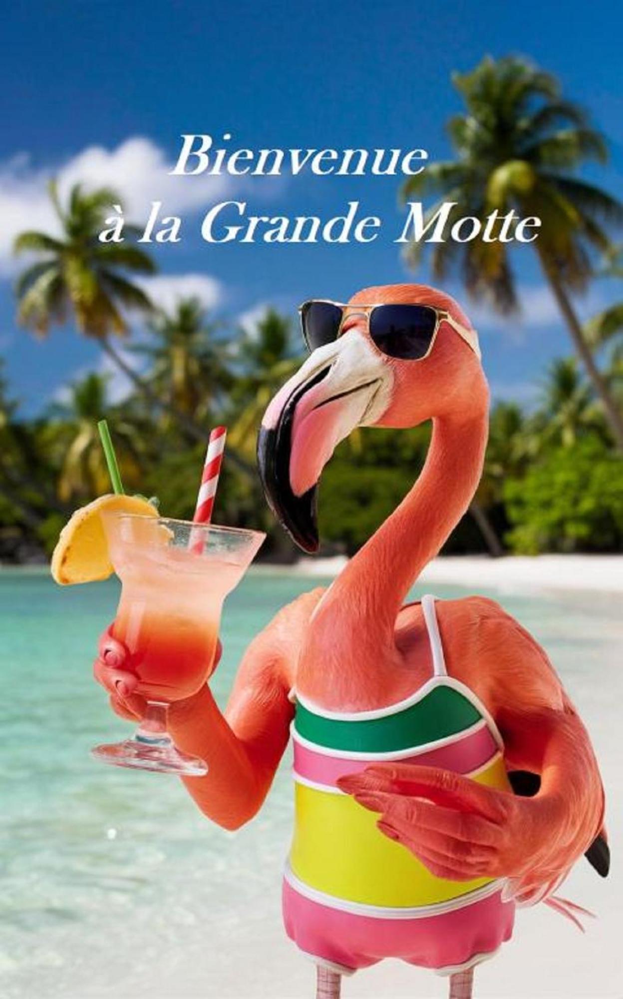 Mes Vacances A La Mer Studio 4 Pers, Parking Prive, Wifi, Linges Fournis, Climatisation La Grande Motte Ngoại thất bức ảnh